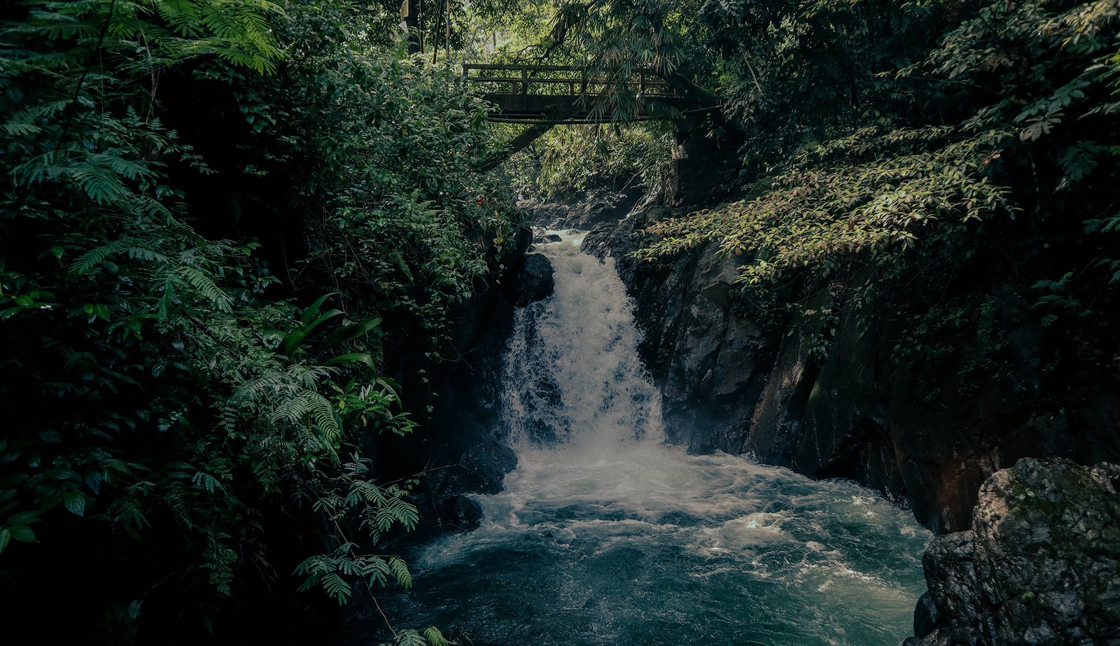 hutan bambu sentul