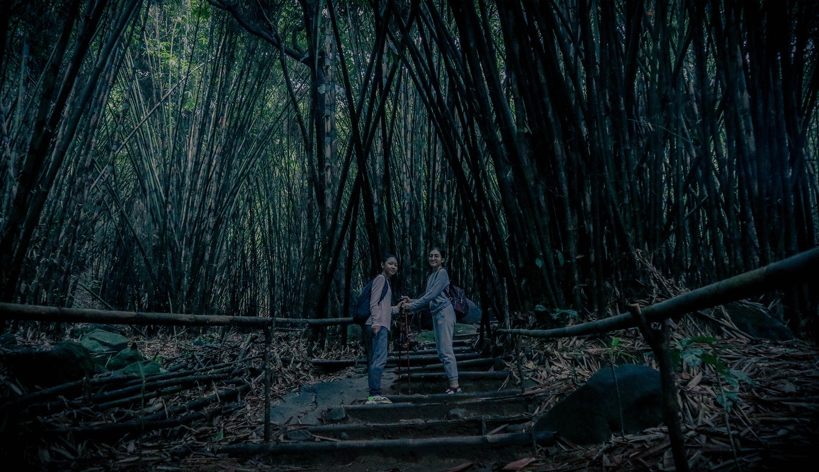 hutan bambu sentul